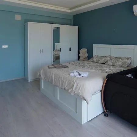 Asil Incirkoy